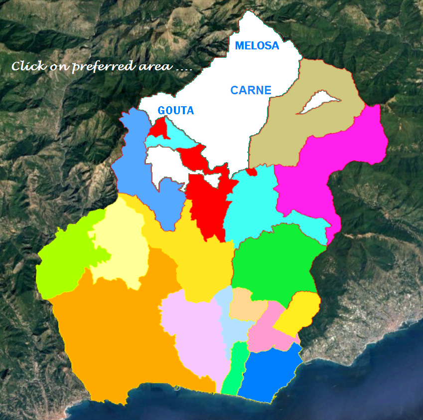 Pigna_Gouta_Melosa